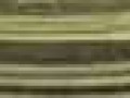 15850041.jpg (1)