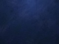 7c3a07717d2225bd