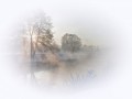 11_6