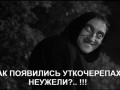 Igor10