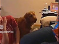 No he didnt