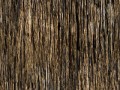wood-texture_(30)