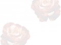 1_3_1