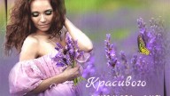 Доброго дня