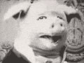 13123