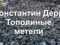 Тополиные метели [Высшее качество]