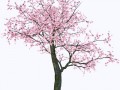 1_yapfiles.ru