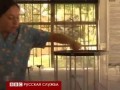 Крысы - лучшие сапёры?