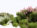 59395e31035ac15c8817ef76-min