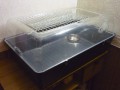 ter1