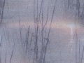 11_6