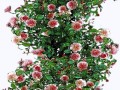 201_yapfiles.ru