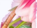 _1_arnusha
