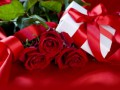 fon2_arnusha