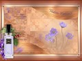 Violette Précieuse - 1