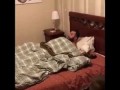 Приколы. Смешное видео