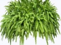 klipartz.com (15)
