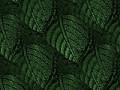 7_6