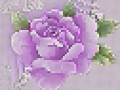 _5_arnusha