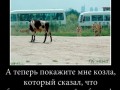 Безвыходных ситуаций не бывает