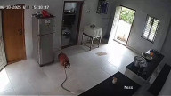 Будет, будет... Шашлык из тебя будет!