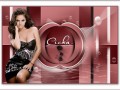 15.04.2021 Cicka emlékére