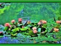 ILluYee2_LY_yapfiles.ru