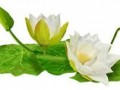 i_9_yapfiles.ru