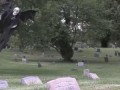 Epic Halloween Prank by Tom Mabe