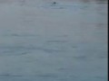 В Красноярске на глазах у подростков прыгнул с моста в Енисей и утонул мужчина