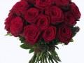 klipartz.com (3)