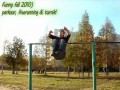 Лучшие parkour падения 2010