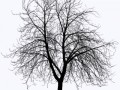 57bdd8160022f156bd9415f1