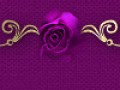 1_2_6_1