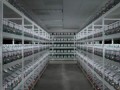 McFly's Closet