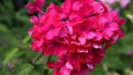 IMG_0046 копия