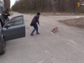 Лис из Чернобыля, делающий бутерброды из хлеба и колбасы