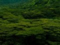 Прираты карибского моря 4: На страных берегаг