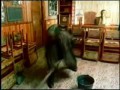Небеса обетованные