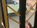 Выкинули из автобуса
