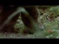 Predator Killing Spree! | The Multiverse
