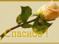 Спасибо