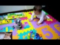 Истязание кота