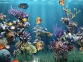 Aquarium-Example