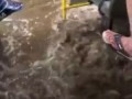 Не едим, а плывем!