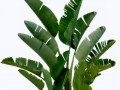 4302523_yapfiles.ru