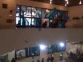 Православные против Дарвина. Креационистский флешмоб