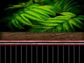 _yapfiles.ru