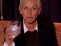 Ellen-Degeneres-Spits-Her-Drink-Surprised-Gif
