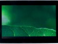 front1_yapfiles.ru